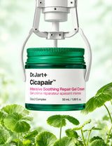 Cicapair