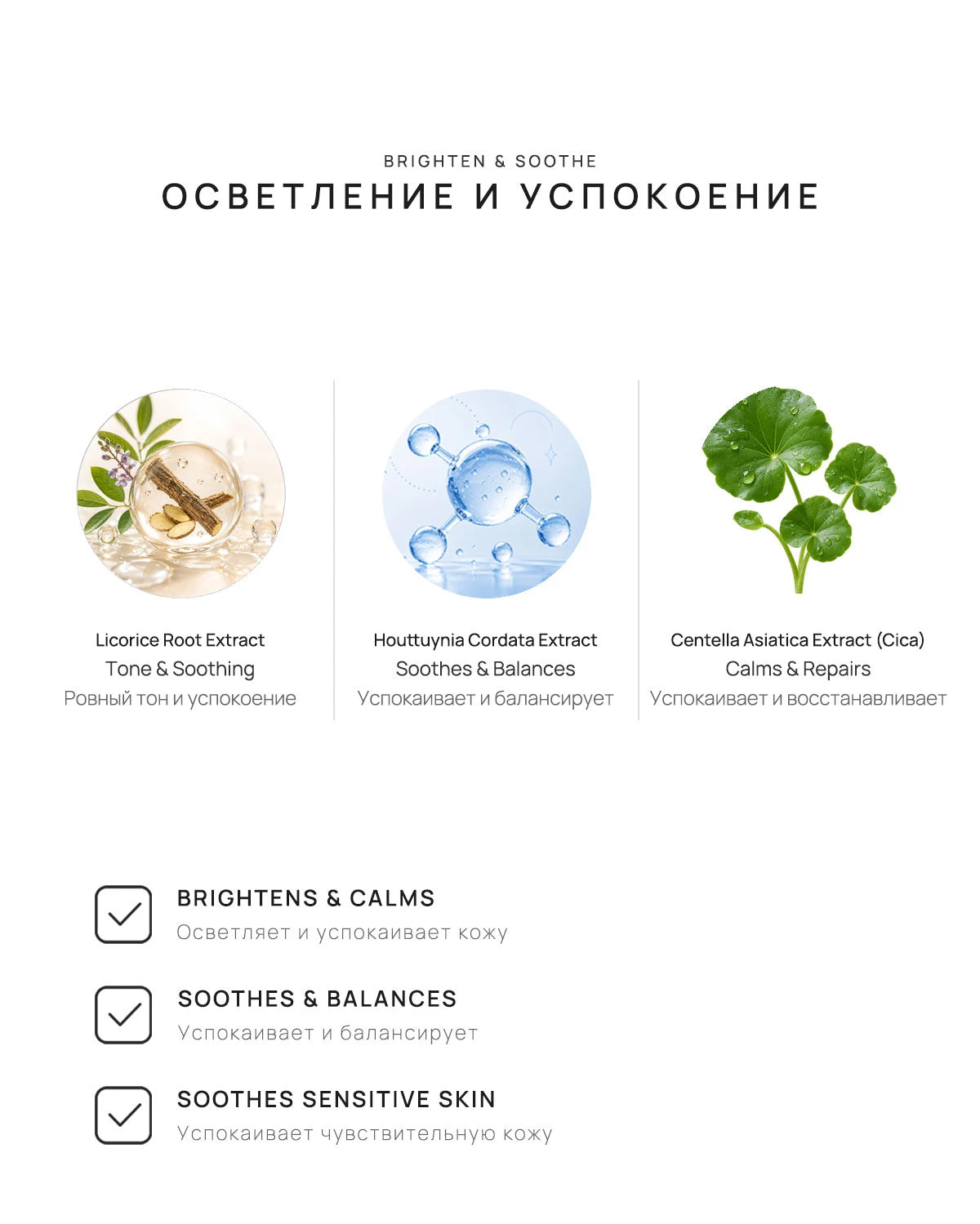 NUM-0022_detail_03.webp