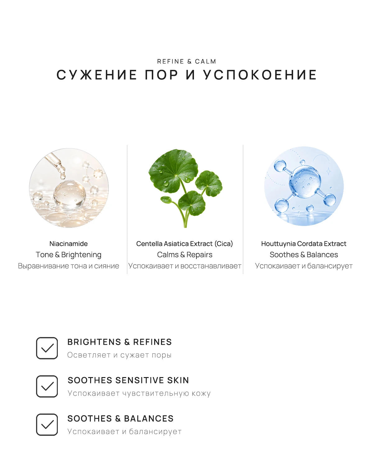 NUM-1082_detail_03.webp