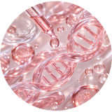 PDRN (Polydeoxyribonucleotide)