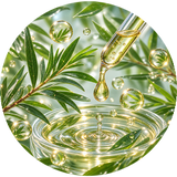 Tea Tree Leaf Oil